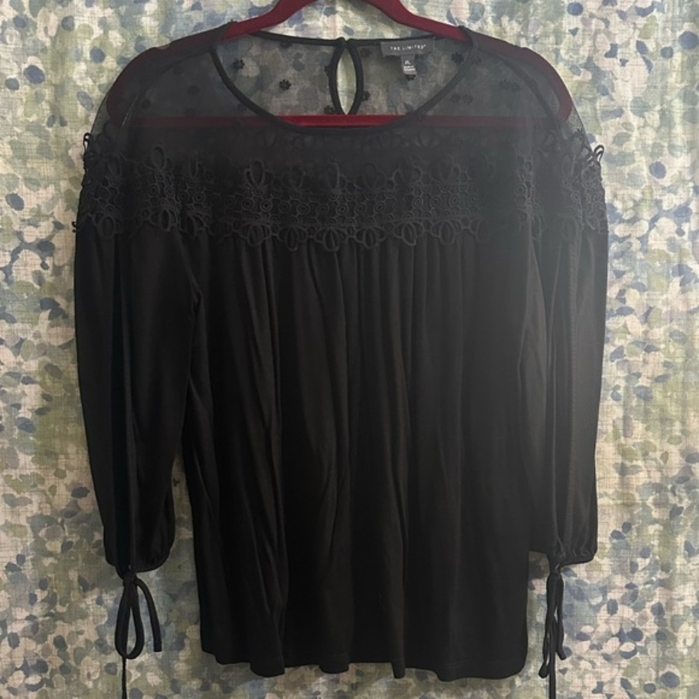 The Limited Sheer Top Blouse